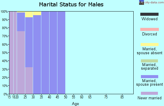Zip code 99011 marital status for males