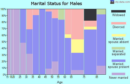 Zip code 99012 marital status for males