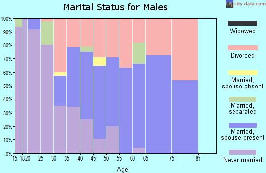 Zip code 99013 marital status for males