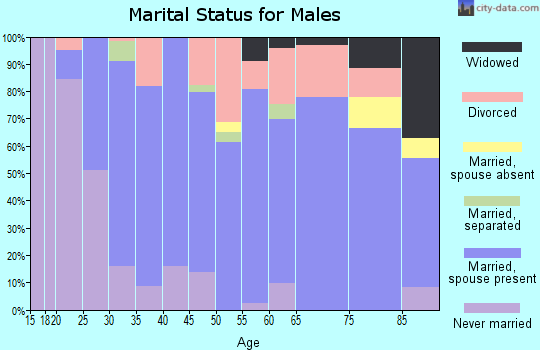 Zip code 99016 marital status for males