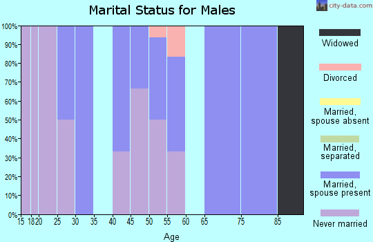 Zip code 99017 marital status for males