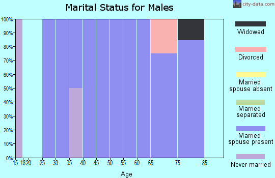 Zip code 99018 marital status for males