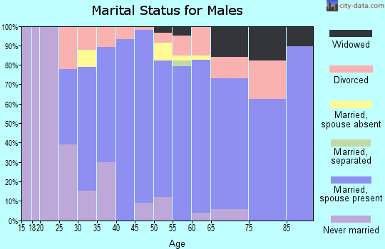 Zip code 99019 marital status for males