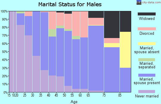 Zip code 99022 marital status for males