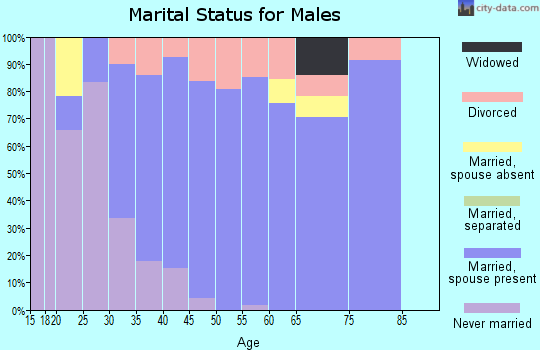 Zip code 99026 marital status for males