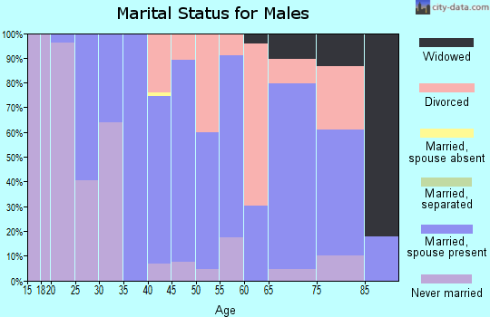 Zip code 99027 marital status for males