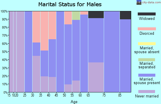 Zip code 99029 marital status for males