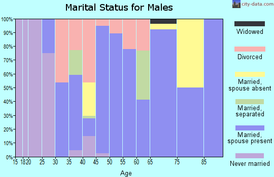 Zip code 99030 marital status for males