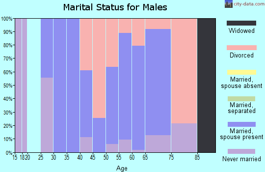Zip code 99031 marital status for males