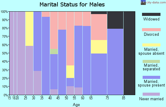 Zip code 99032 marital status for males