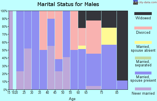 Zip code 99033 marital status for males