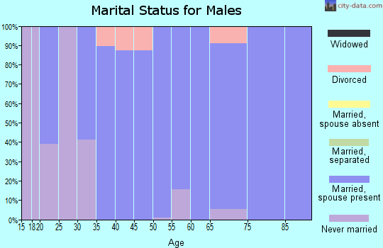 Zip code 99036 marital status for males