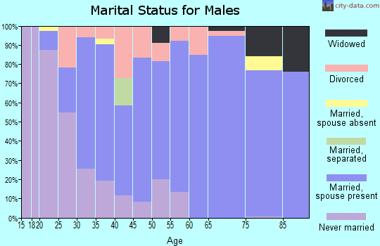 Zip code 99037 marital status for males