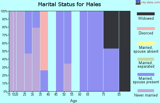Zip code 99102 marital status for males