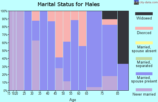 Zip code 99103 marital status for males