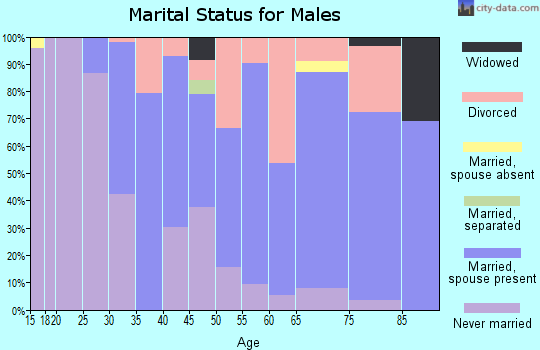 Zip code 99109 marital status for males