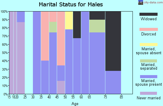 Zip code 99110 marital status for males