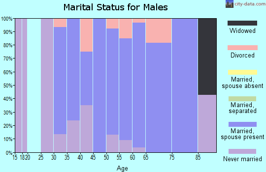 Zip code 99113 marital status for males