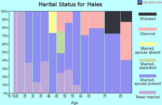 Zip code 99115 marital status for males