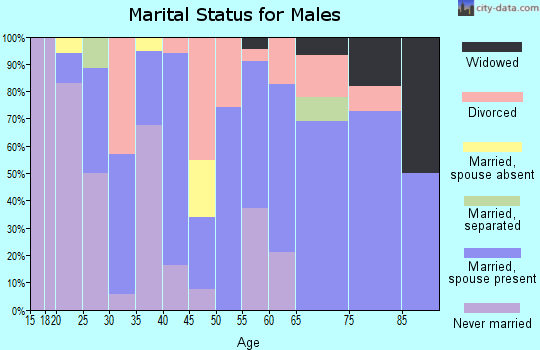 Zip code 99116 marital status for males