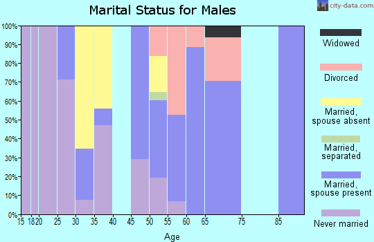 Zip code 99118 marital status for males