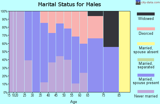 Zip code 99119 marital status for males