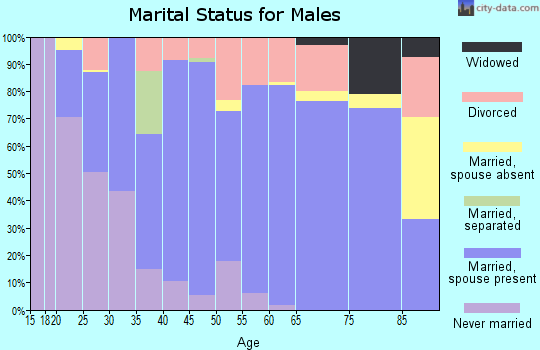 Zip code 99122 marital status for males
