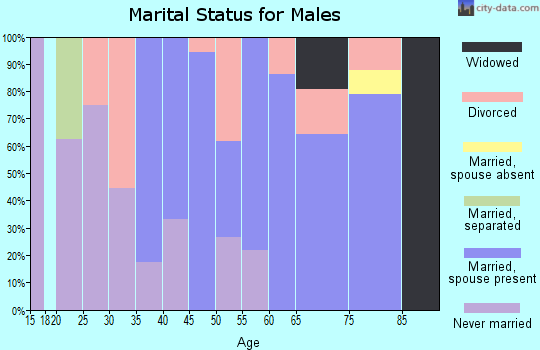 Zip code 99123 marital status for males