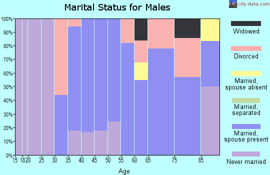 Zip code 99125 marital status for males