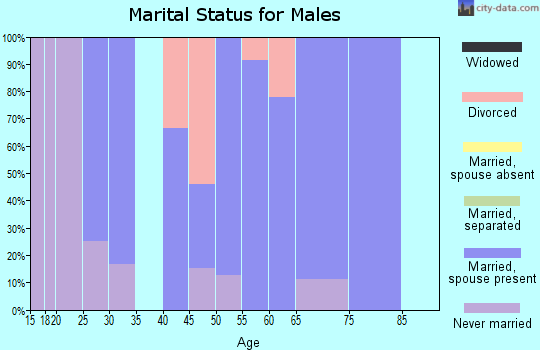 Zip code 99128 marital status for males