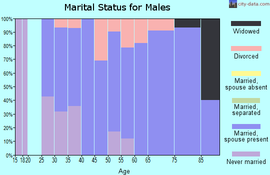 Zip code 99130 marital status for males