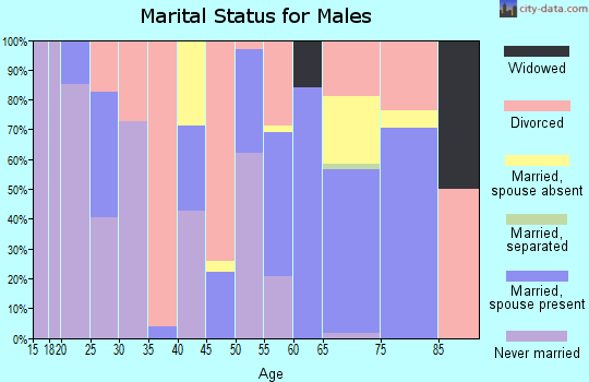 Zip code 99133 marital status for males