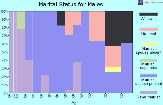 Zip code 99134 marital status for males