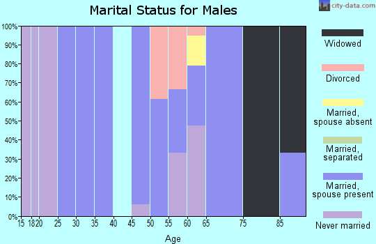 Zip code 99135 marital status for males