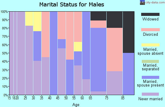 Zip code 99138 marital status for males
