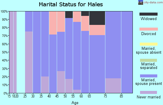 Zip code 99139 marital status for males