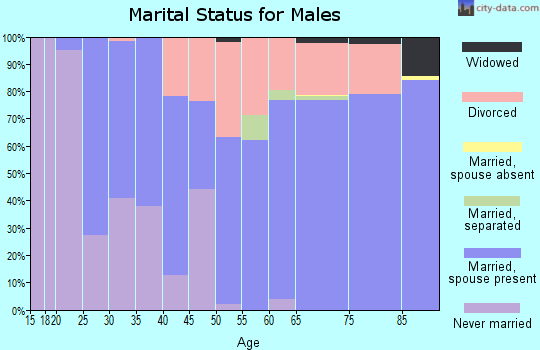 Zip code 99141 marital status for males