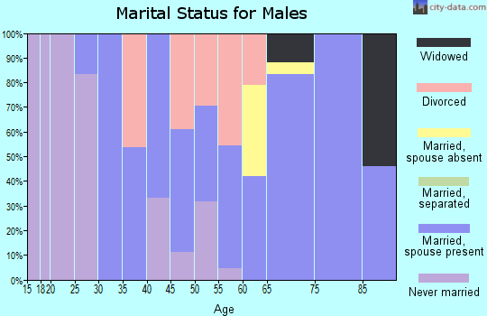Zip code 99143 marital status for males