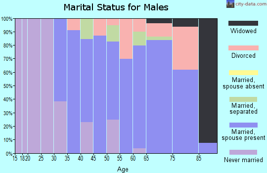 Zip code 99148 marital status for males
