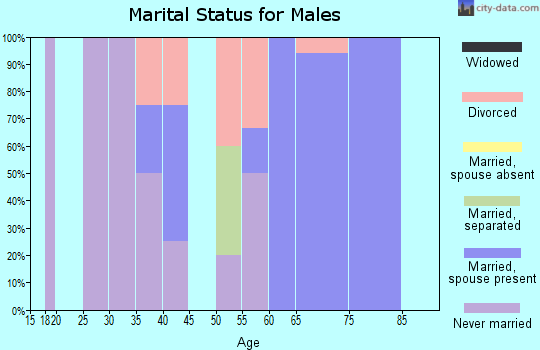 Zip code 99149 marital status for males