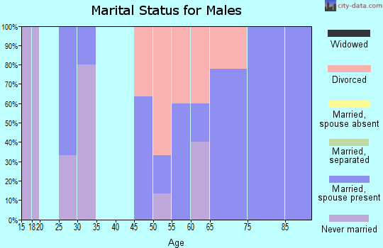 Zip code 99151 marital status for males