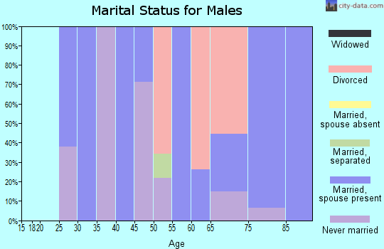 Zip code 99153 marital status for males