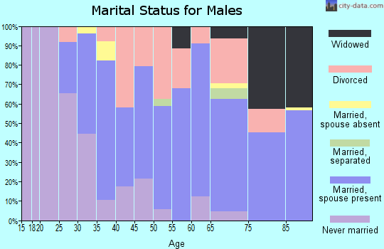 Zip code 99156 marital status for males