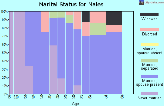 Zip code 99158 marital status for males