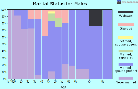 Zip code 99159 marital status for males
