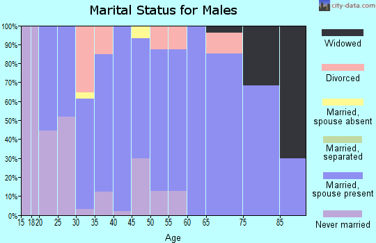 Zip code 99161 marital status for males