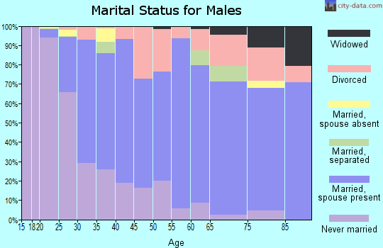 Zip code 99163 marital status for males