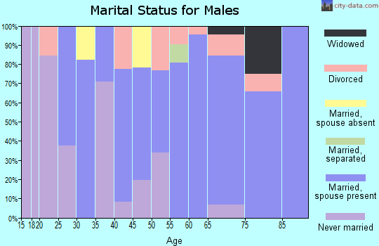 Zip code 99170 marital status for males
