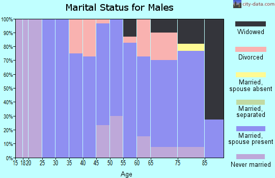 Zip code 99171 marital status for males