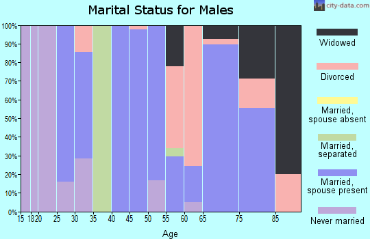 Zip code 99173 marital status for males